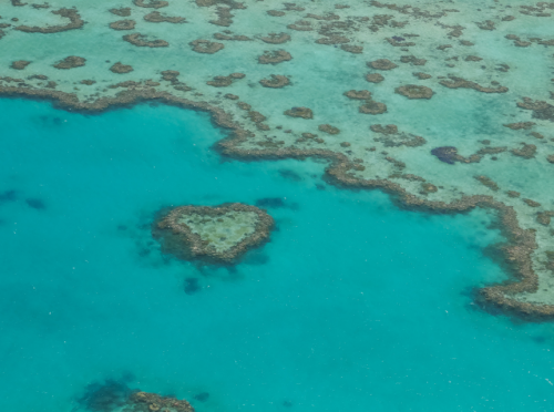 Near, On or In – Location is Key on the Great Barrier Reef!